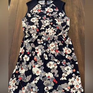 Banana Republic Factory Floral Sleeveless Dress